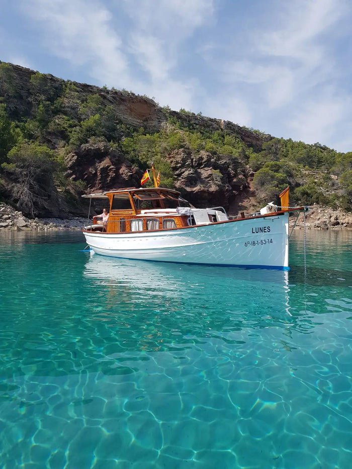 RDLC IBIZA